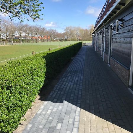 Vakantiewoningen De Schelp Renesse Eksteriør bilde