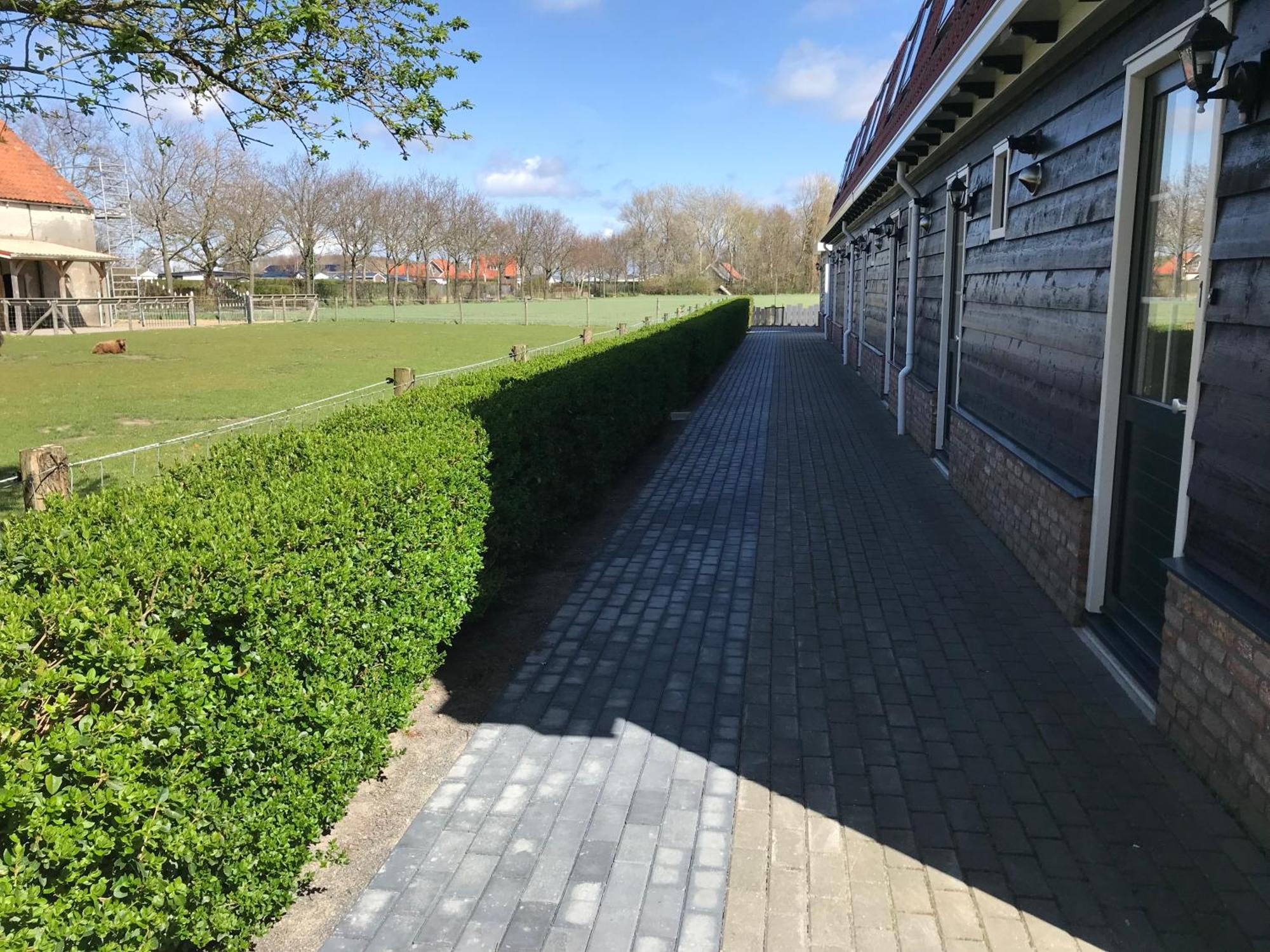 Vakantiewoningen De Schelp Renesse Eksteriør bilde