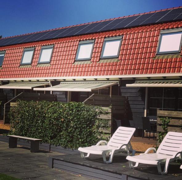 Vakantiewoningen De Schelp Renesse Eksteriør bilde