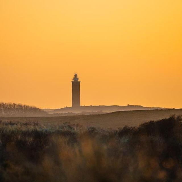 Vakantiewoningen De Schelp Renesse Eksteriør bilde