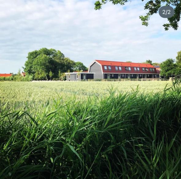 Vakantiewoningen De Schelp Renesse Eksteriør bilde
