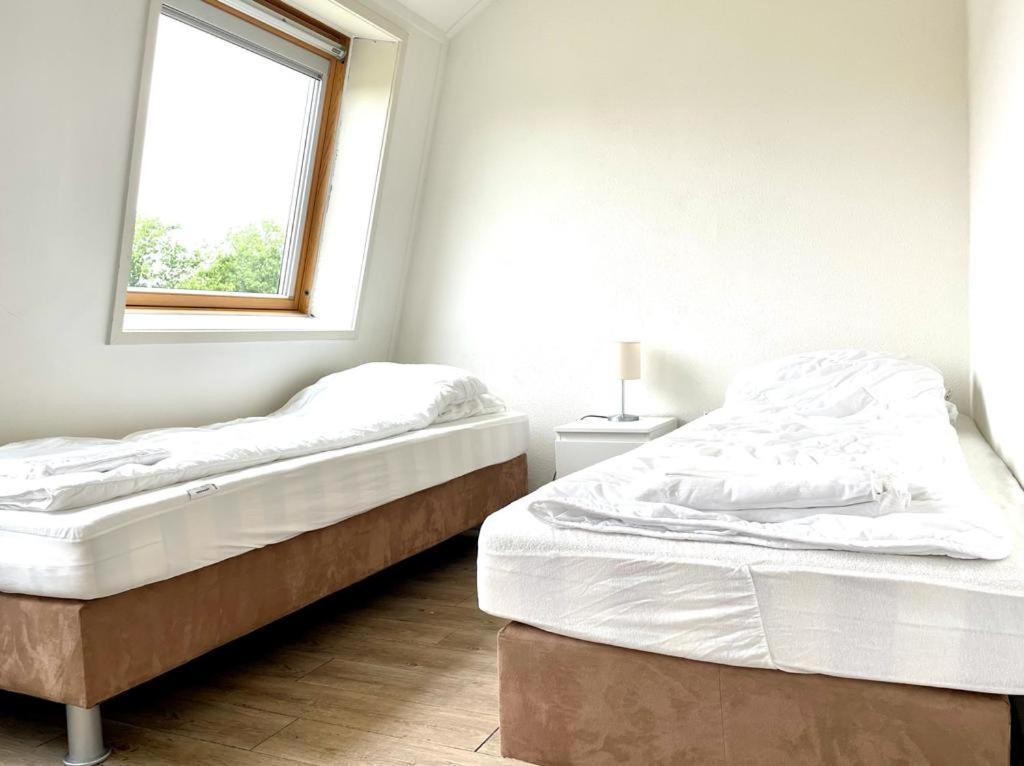 Vakantiewoningen De Schelp Renesse Eksteriør bilde